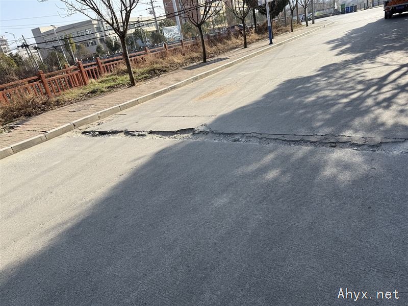 莲云振岳大酒店河边旁边道路中间裂了，过往车辆经常被划破胎，望相关部门能够修补完善。
