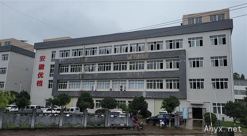 招聘网店运营助手10名
